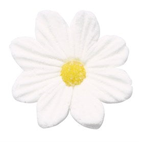 White Daisies Sugar Toppers - 30 Pack