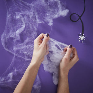 Stretchable Fake Spiders Web - Creep It Real