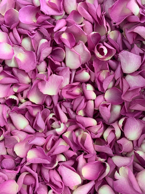 Natural Classic Pink Rose Petals