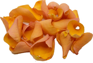 Natural Golden Yellow Rose Petals