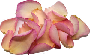 Natural Vintage Pink Rose Petals
