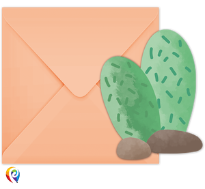 Llama Invitations & Envelopes