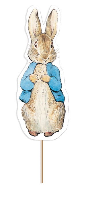 Peter Rabbit Cake Topper - Double Sided Pick