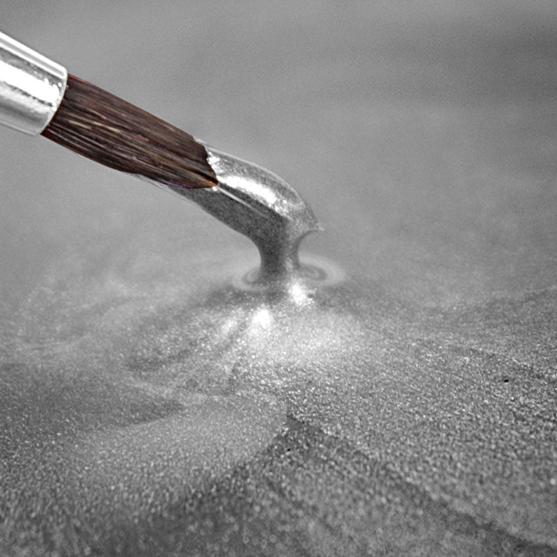 Metallic Paint - Light Silver